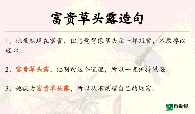 富贵草头露