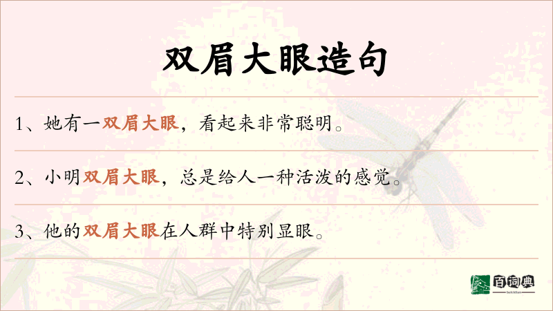 双眉大眼