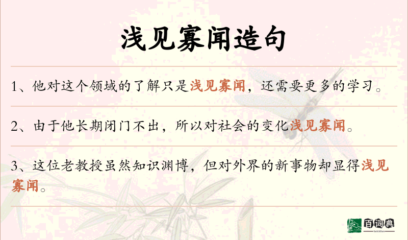 浅见寡闻