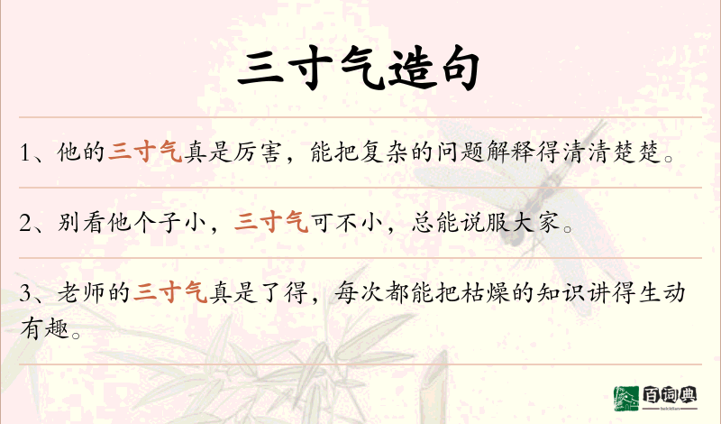 三寸气