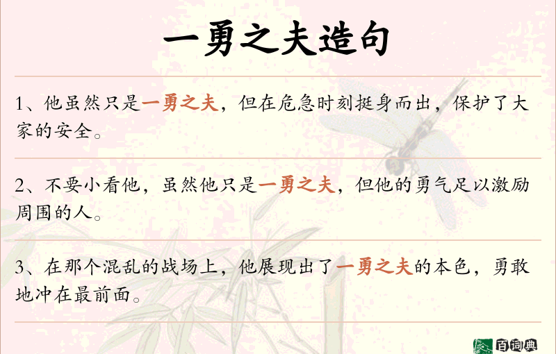 一勇之夫