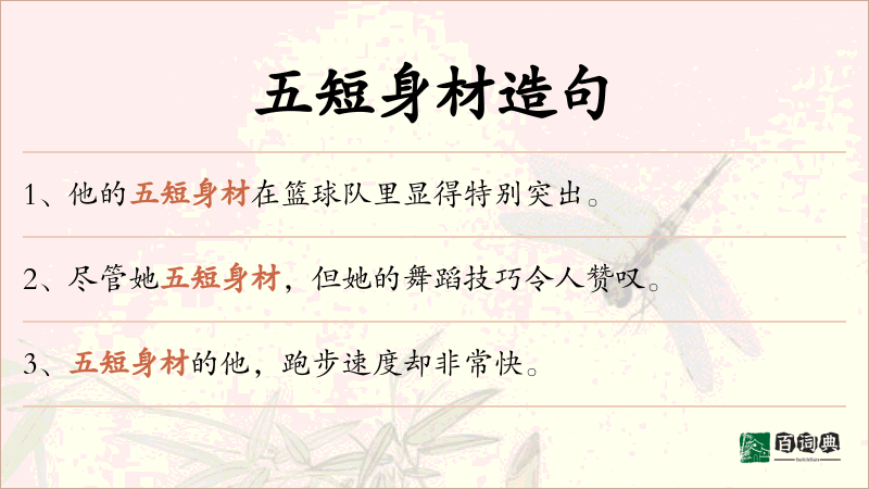 五短身材