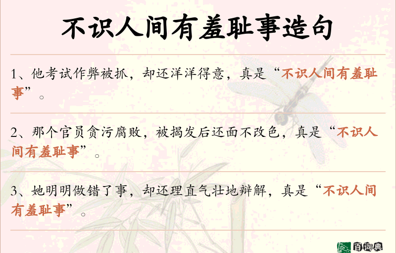 不识人间有羞耻事