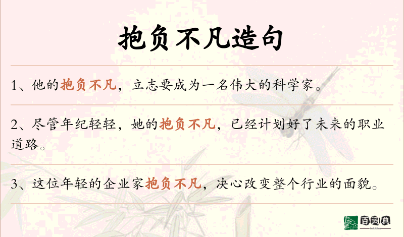 抱负不凡
