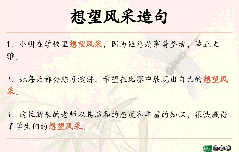 想望风采