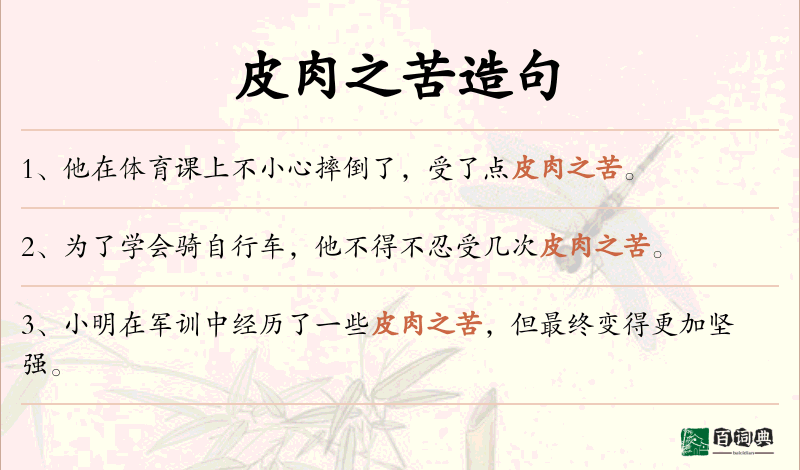 皮肉之苦