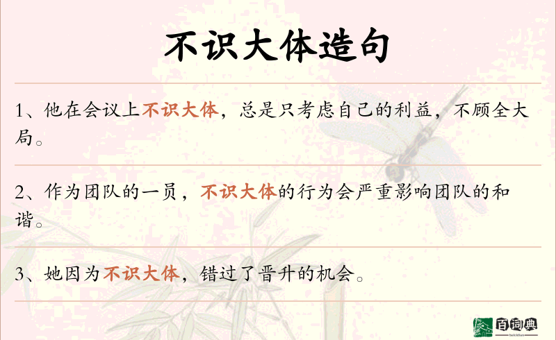 不识大体