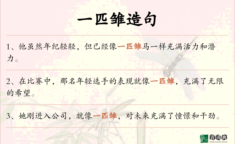 一匹雏