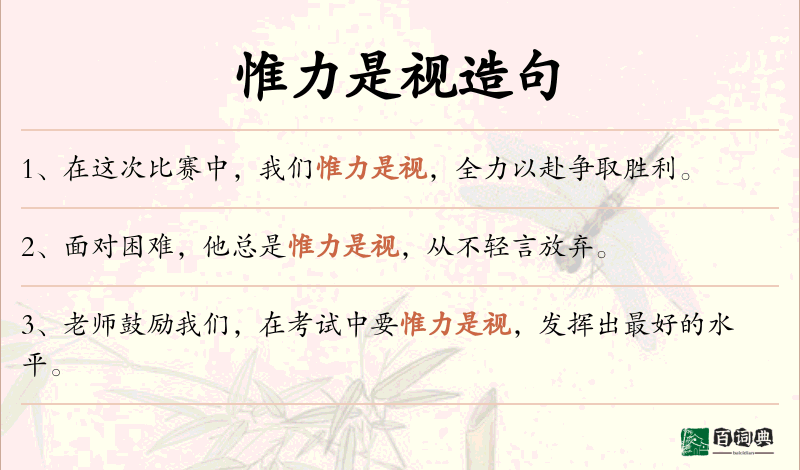 惟力是视