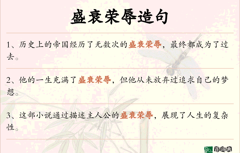盛衰荣辱