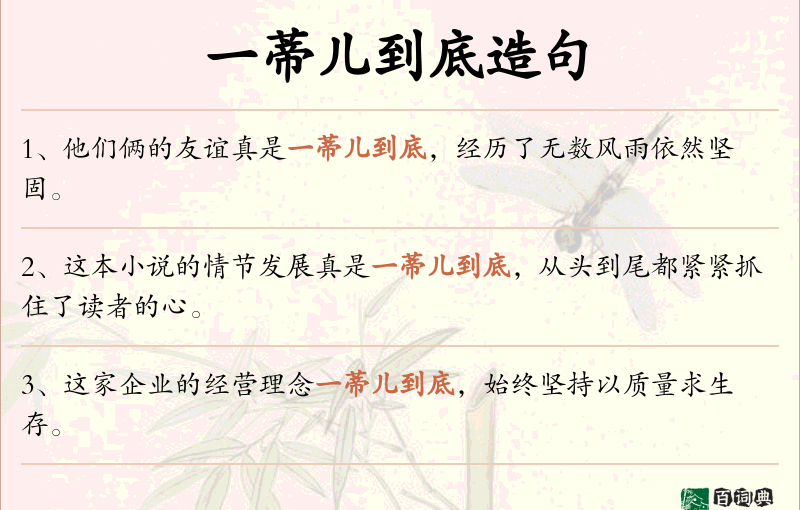 一蒂儿到底