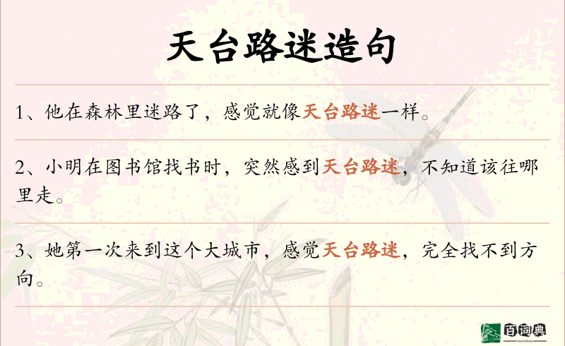 天台路迷