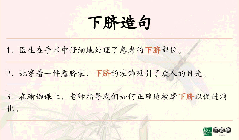 下脐