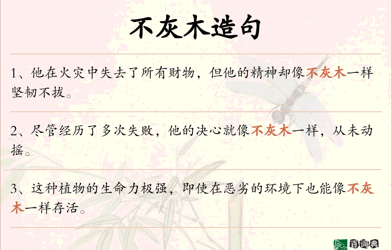 不灰木