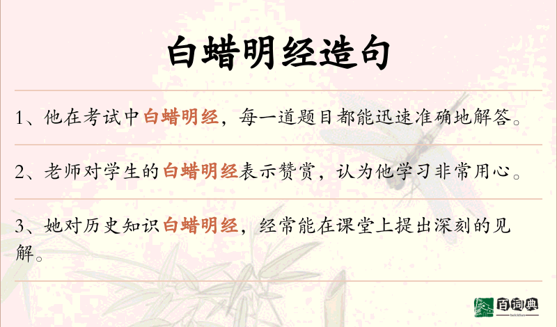 白蜡明经