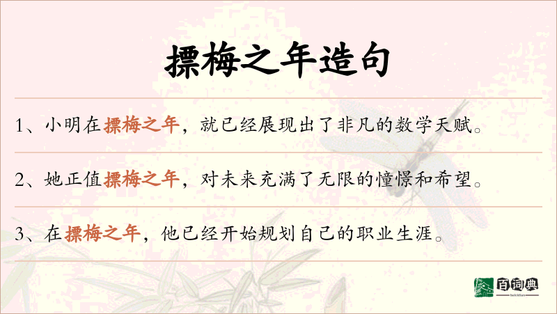 摽梅之年