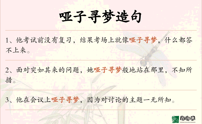 哑子寻梦