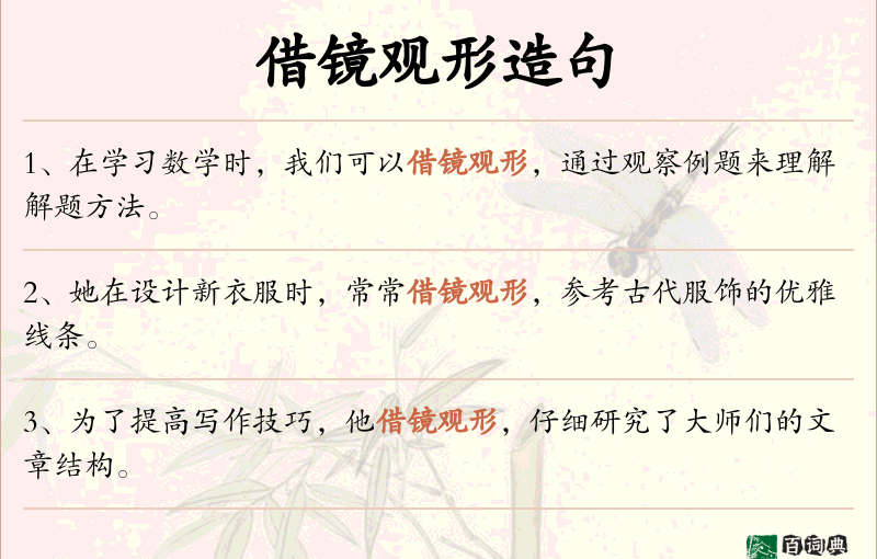 借镜观形