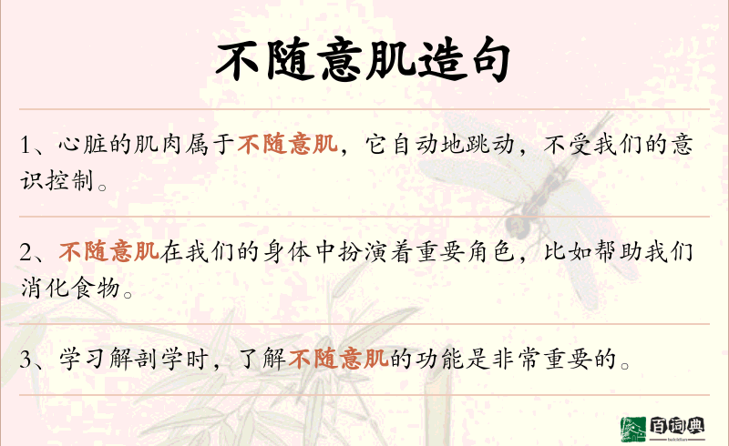 不随意肌