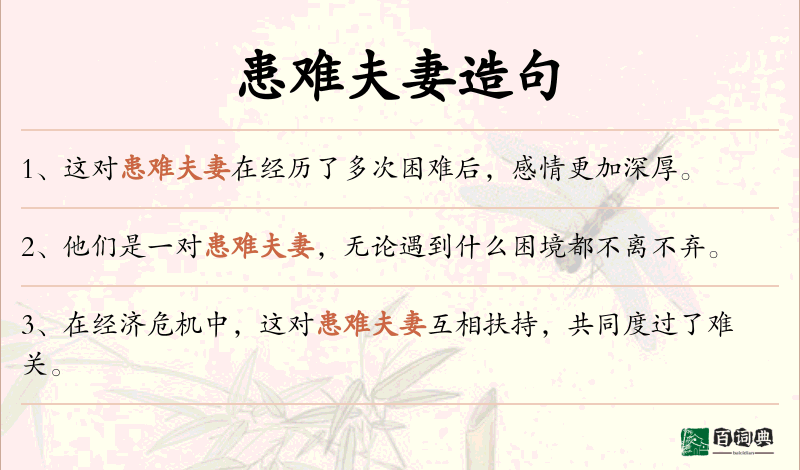 患难夫妻