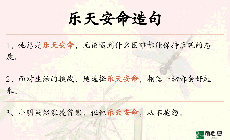 乐天安命