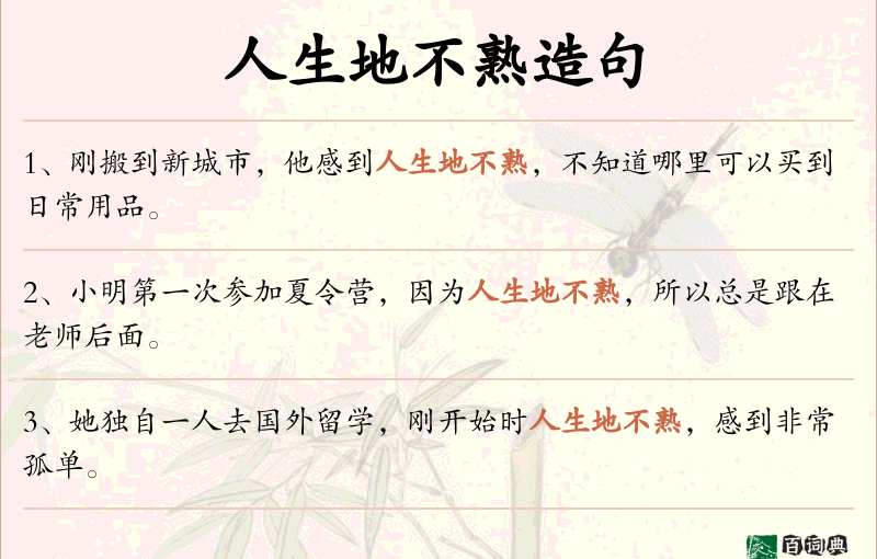 人生地不熟
