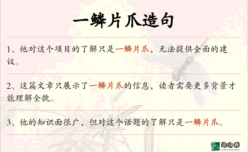 一鳞片爪