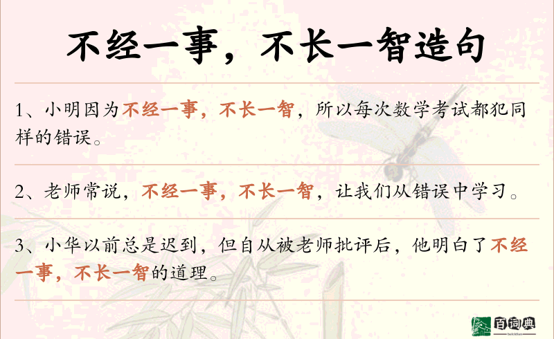 不经一事，不长一智