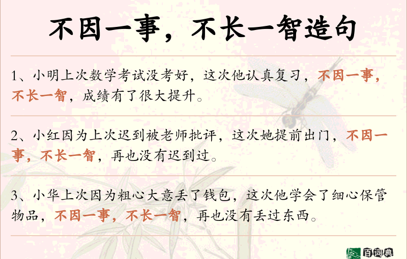 不因一事，不长一智