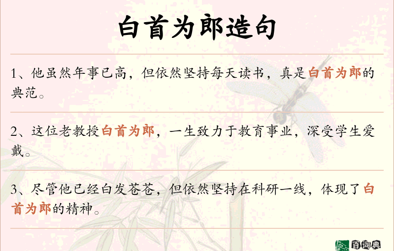 白首为郎