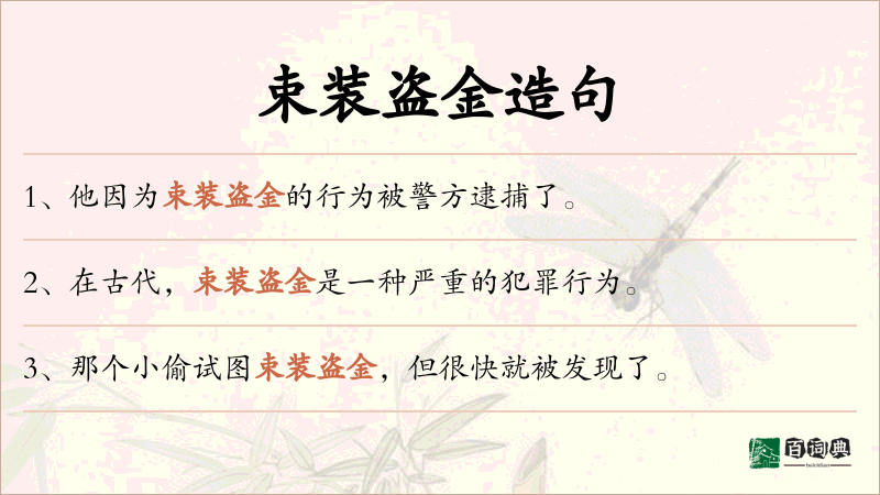 束装盗金