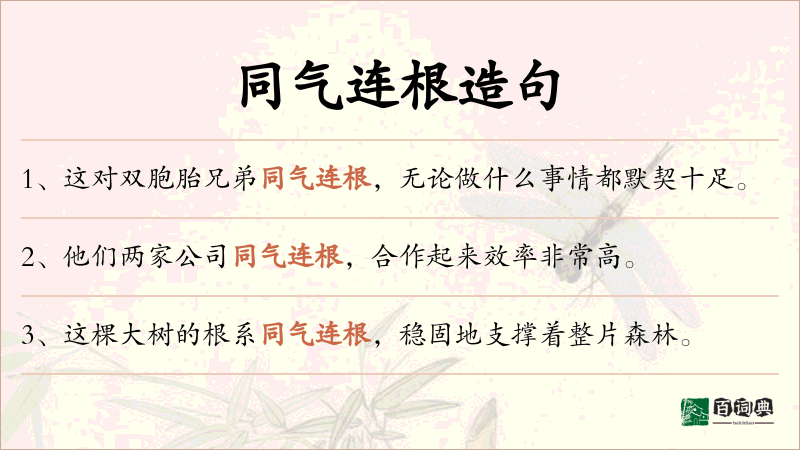 同气连根