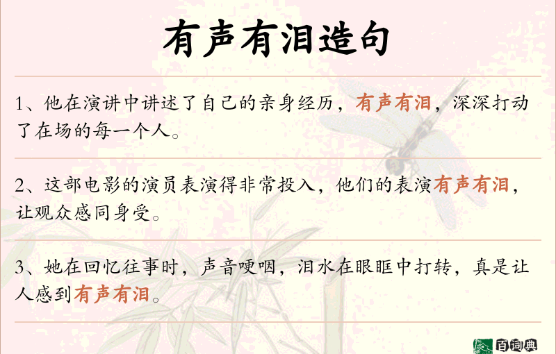 有声有泪