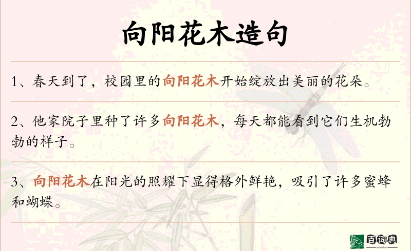 向阳花木