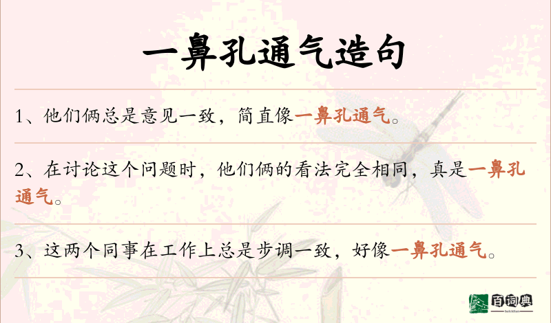 一鼻孔通气