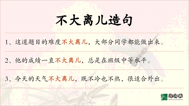 不大离儿