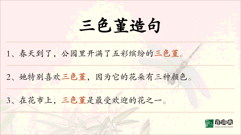 三色堇