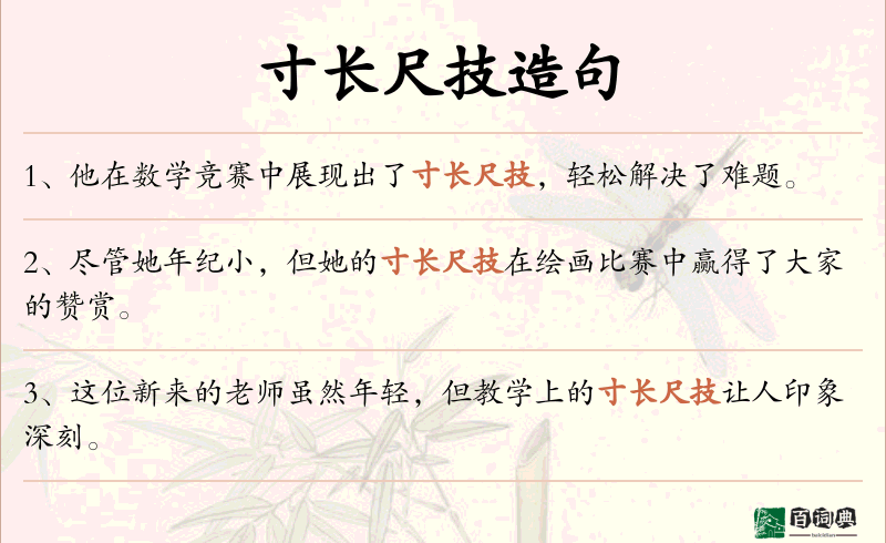 寸长尺技