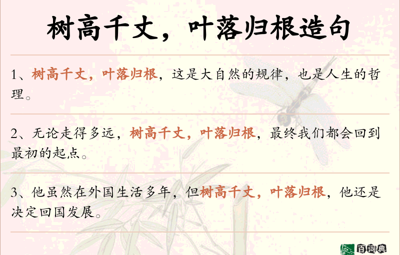 树高千丈，叶落归根
