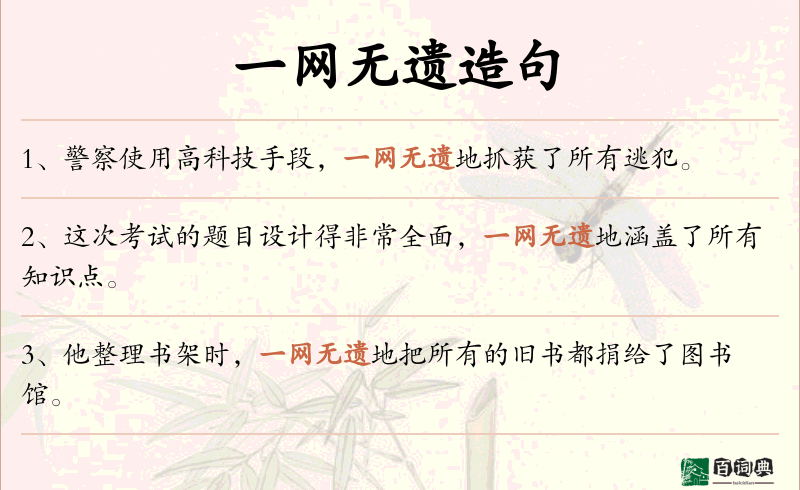 一网无遗