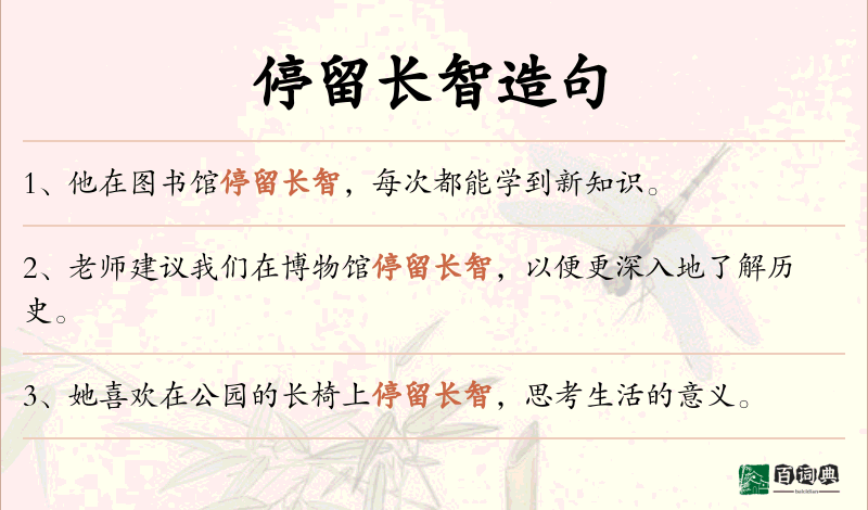 停留长智