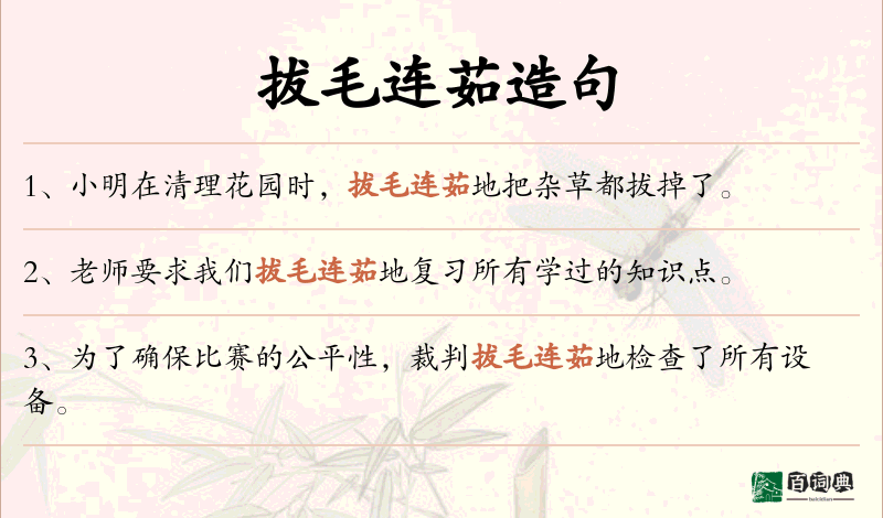 拔毛连茹