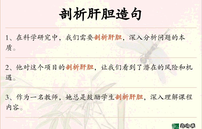 剖析肝胆