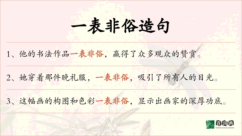 一表非俗