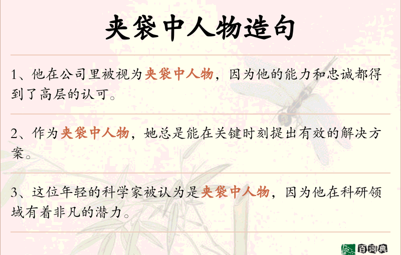 夹袋中人物