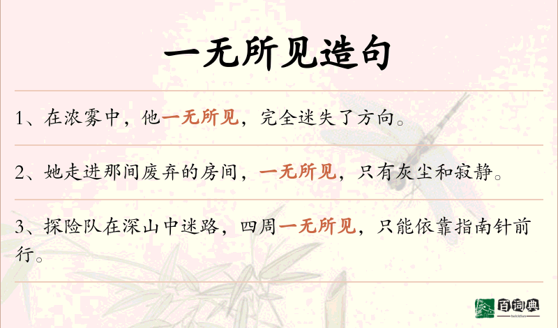 一无所见