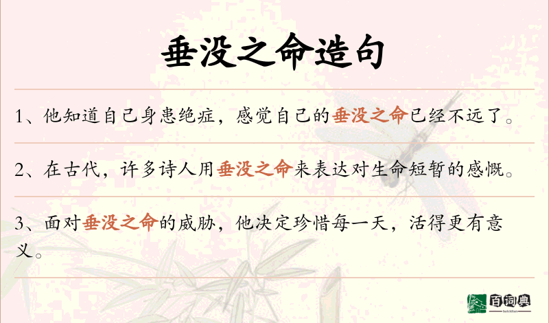 垂没之命
