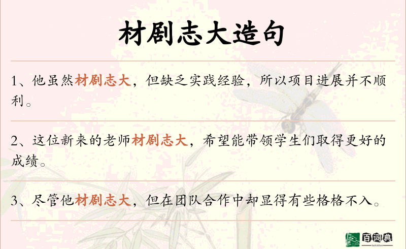 材剧志大