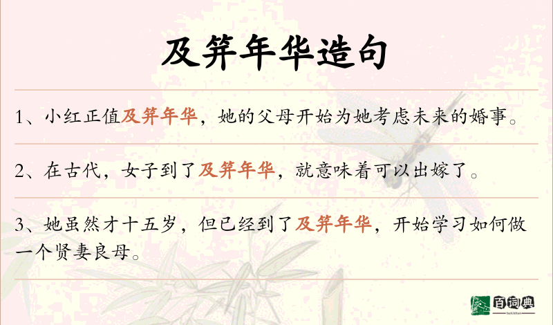 及笄年华