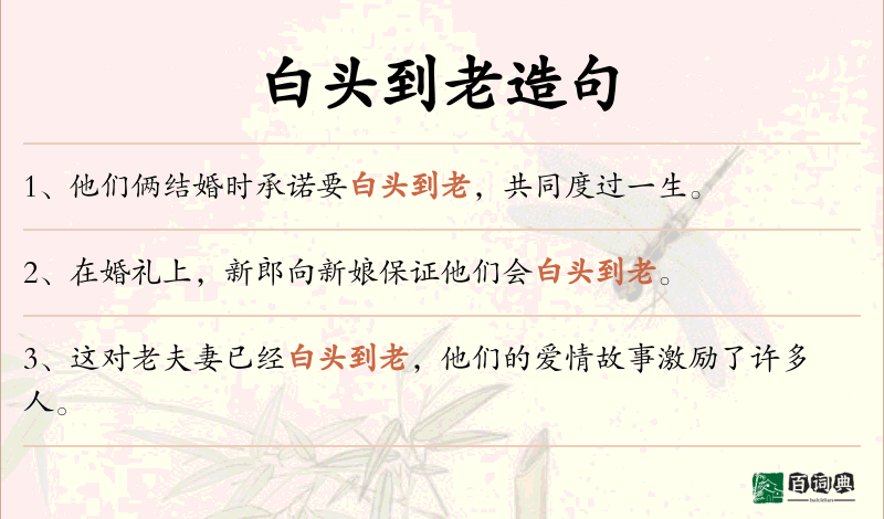白头到老